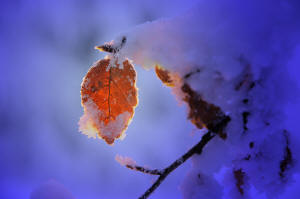 fotokurs winterlandschaft